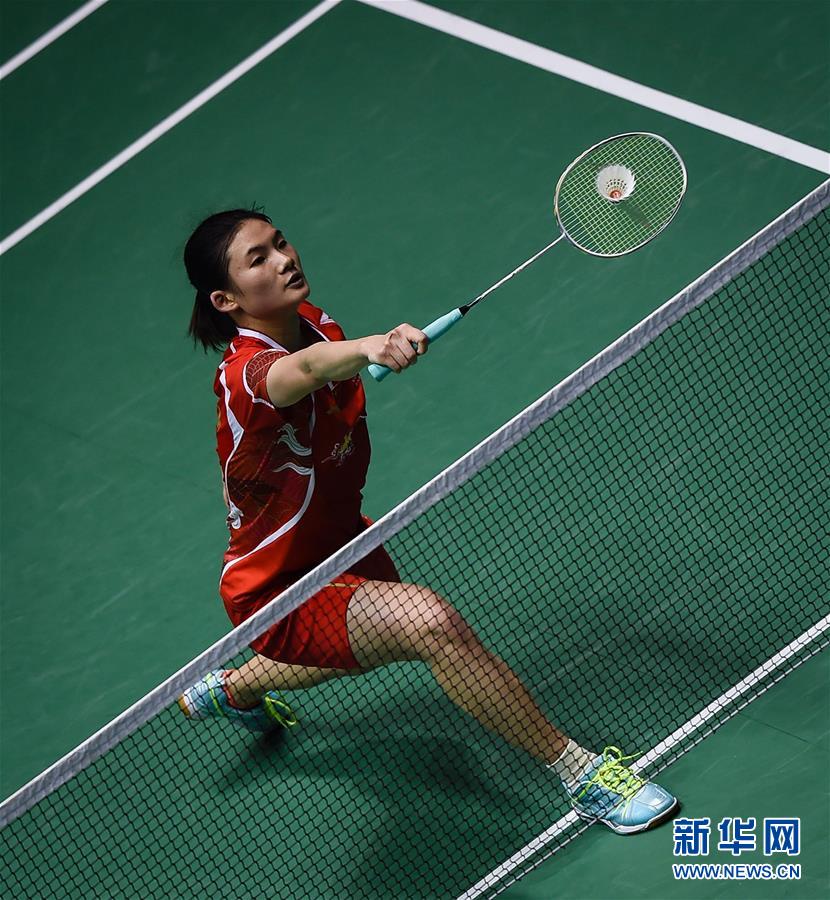 数据与案例 数据与案例