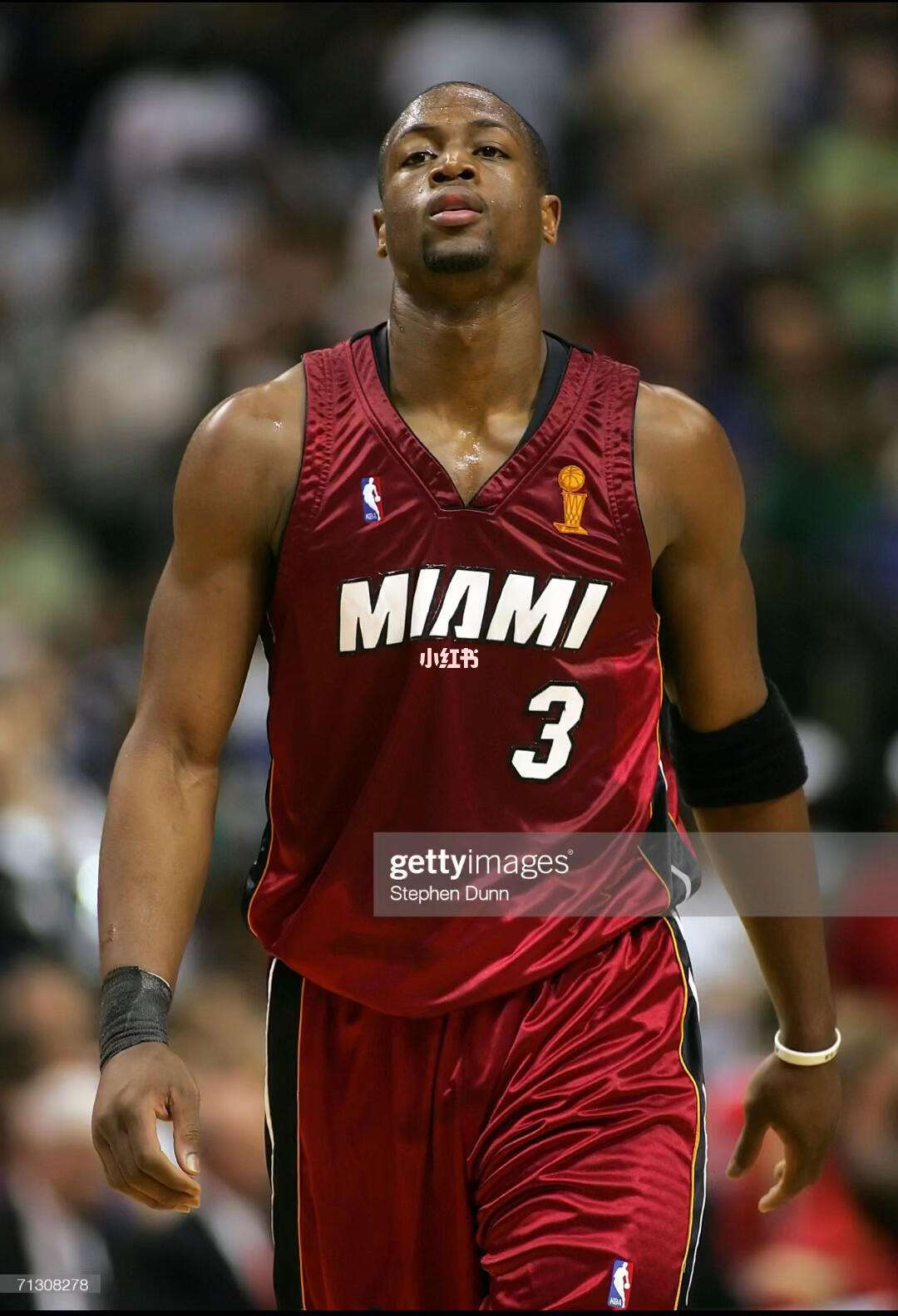 丝占比过半 丝占比过半