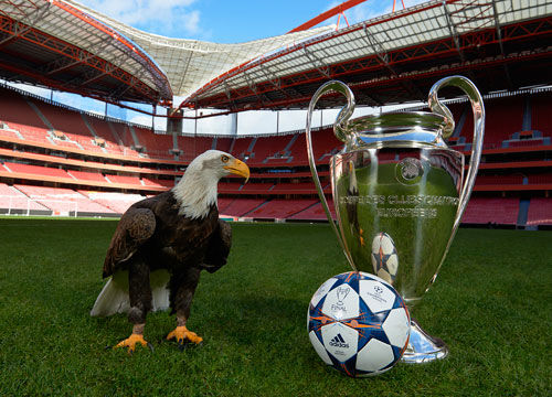 中职联盟如何提升比赛质量